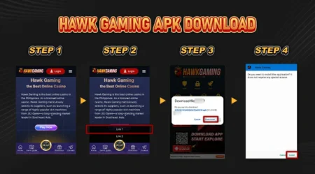 Hawk Gaming